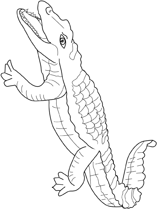 coloriage crocodile à imprimer