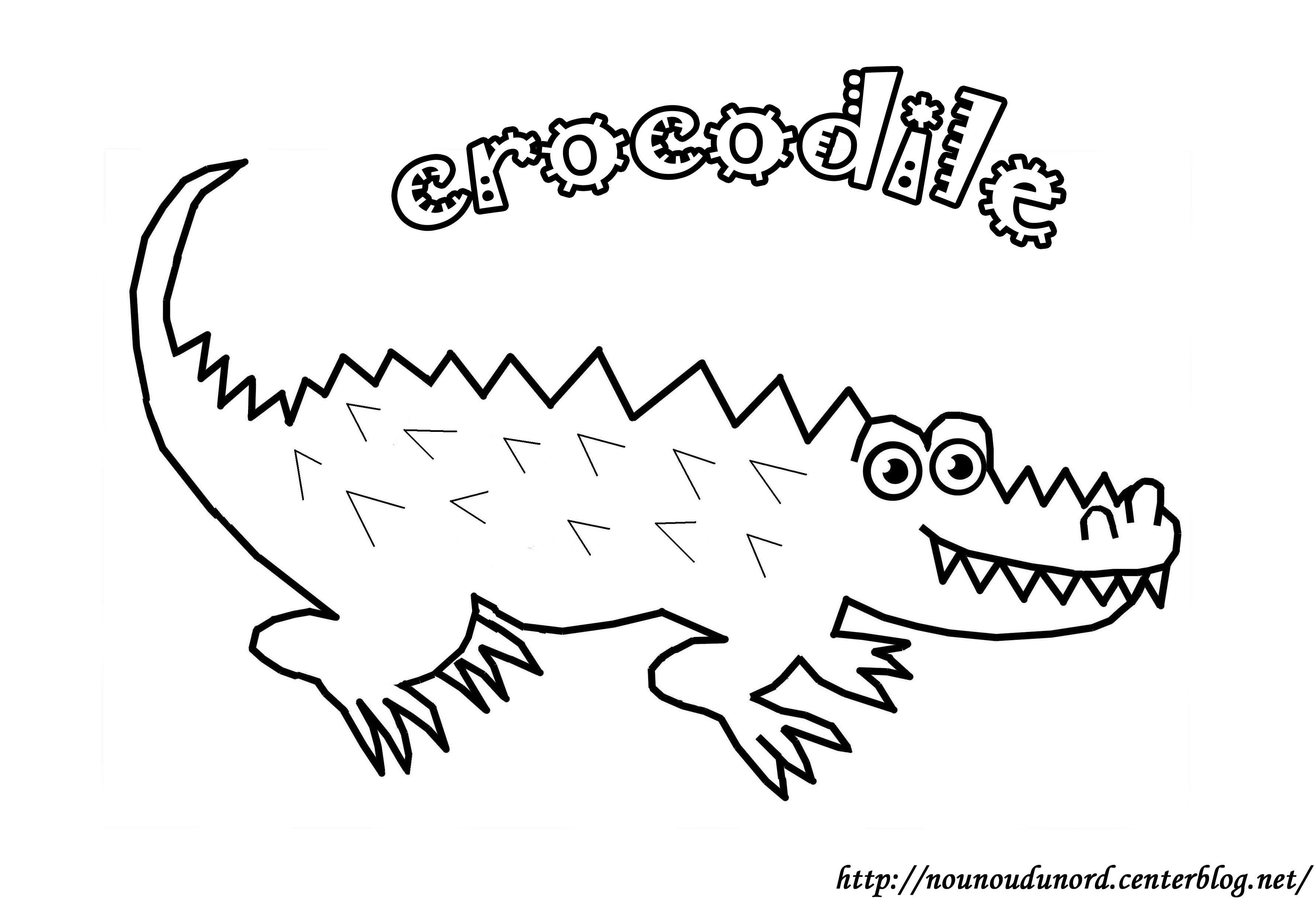 Coloriage Animaux   imprimer coloriage crocodile