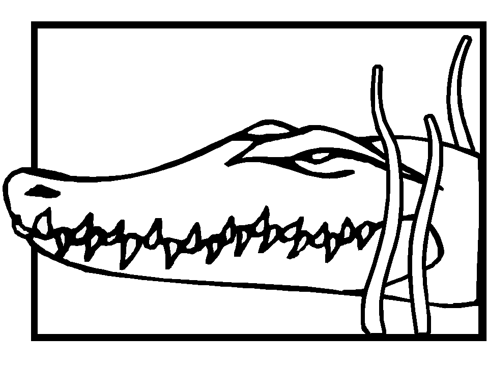coloriage à dessiner crocodile a imprimer