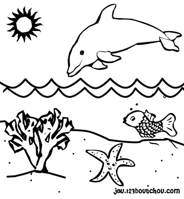 coloriage dauphin a imprimer gratuit