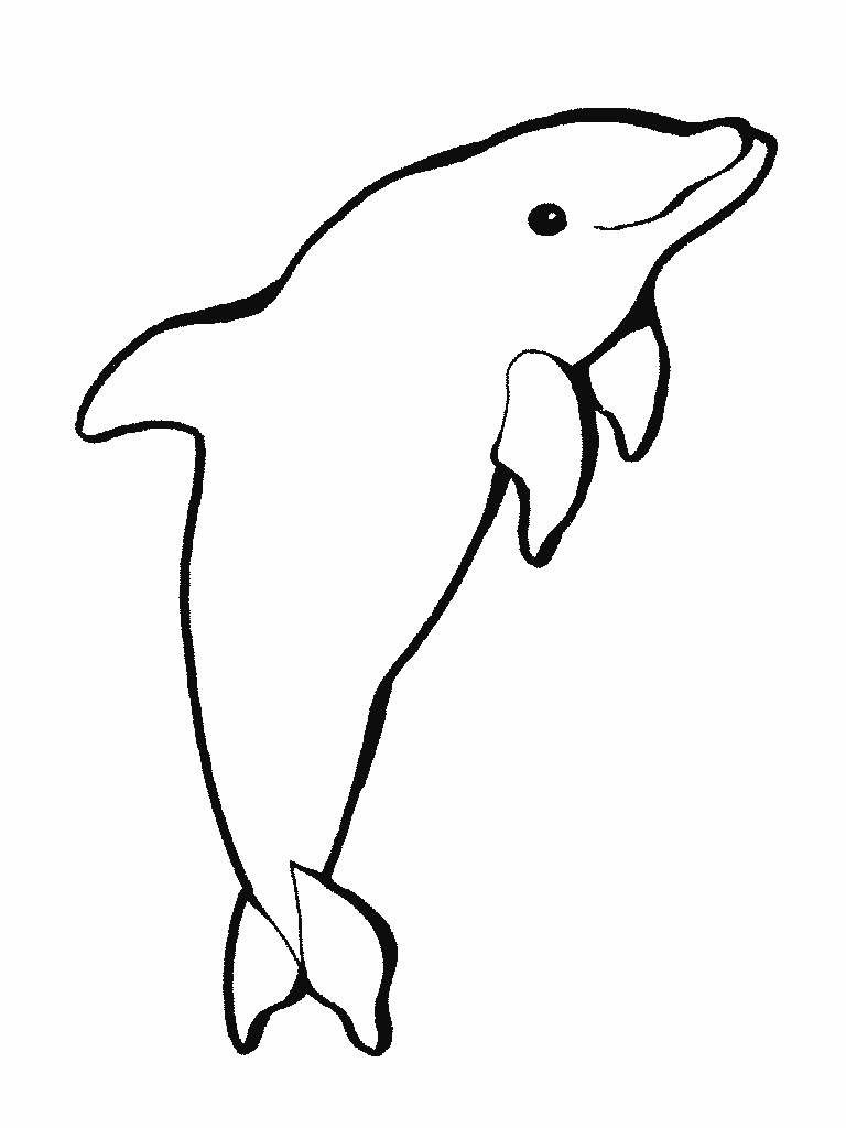 Dauphin A Imprimer Tr¨s Beau   colorier Voir le dessin Voir le dessin Voir le dessin