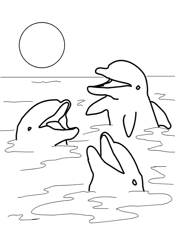 coloriage dauphin a imprimer tres beau