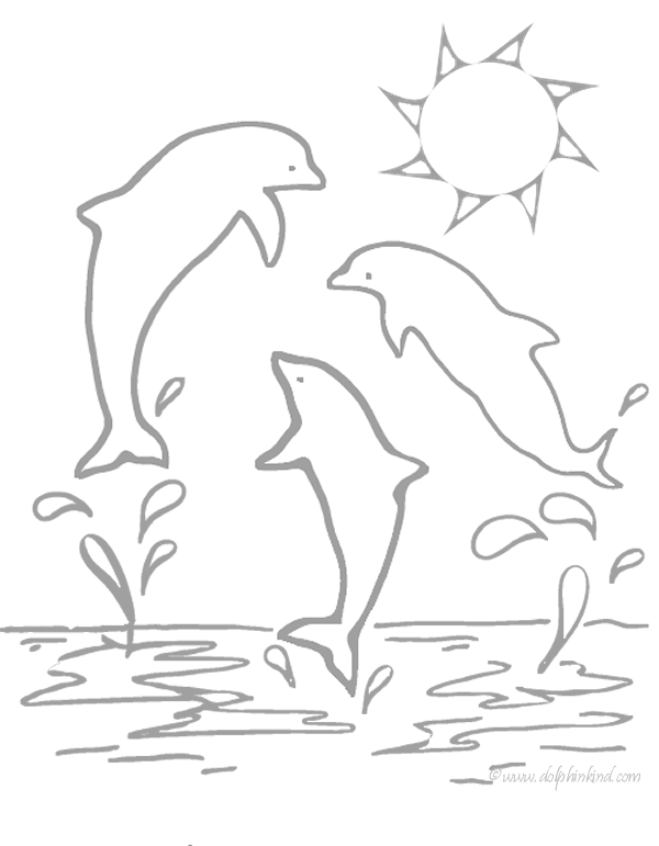 dessin à colorier dauphin imprimer