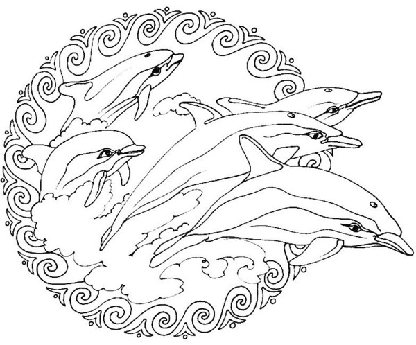 coloriage à dessiner de dauphin amoureux a imprimer