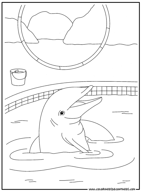jeux dessin à colorier dauphin gratuit