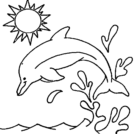 dessin à colorier de dauphin