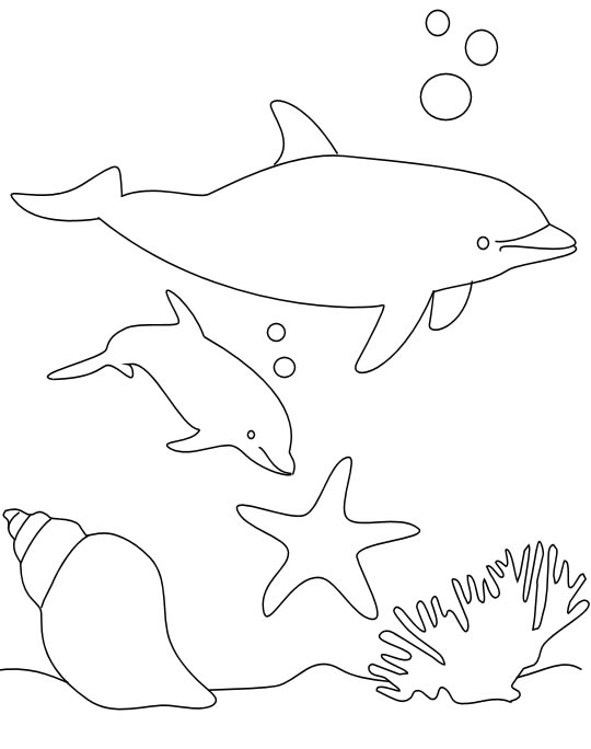 les dauphins dessin à colorier