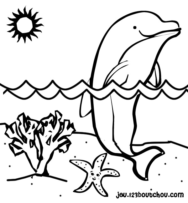 dauphin image dessin à colorier