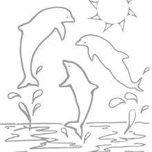 dessin a colorier dauphin mandala