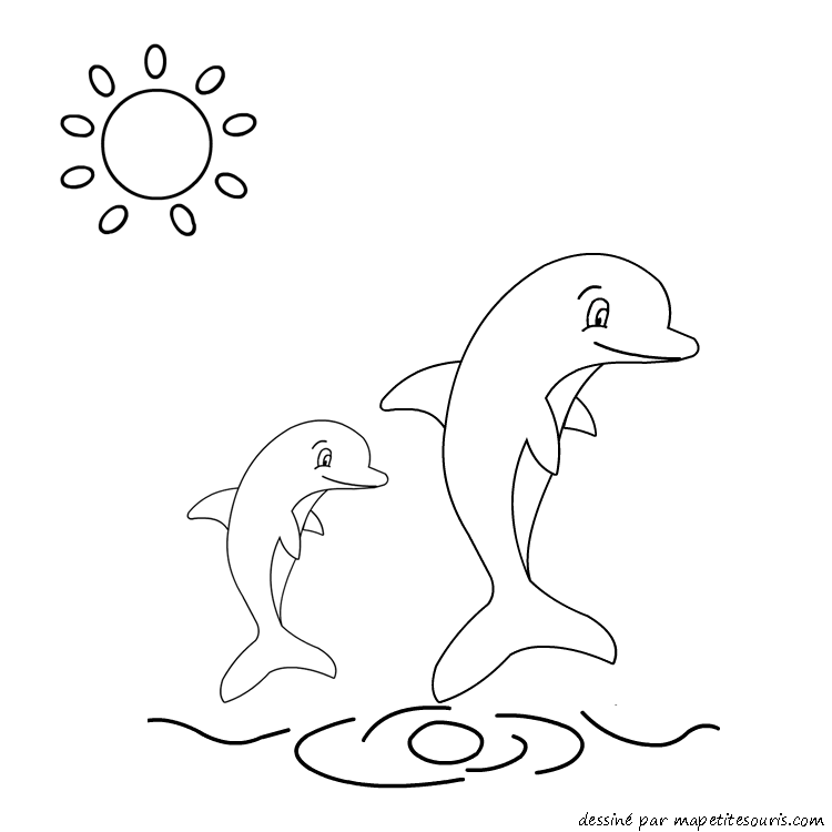 dessin vrac dauphin