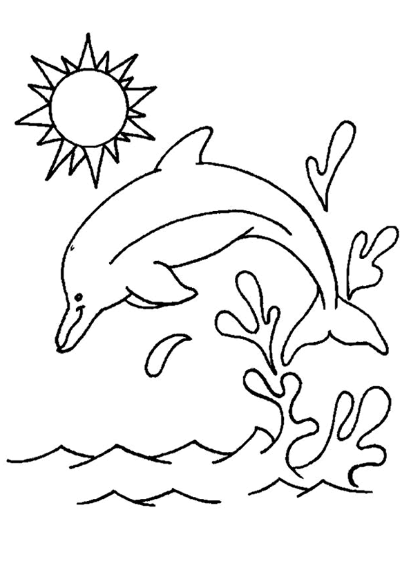 dessin codé dauphin
