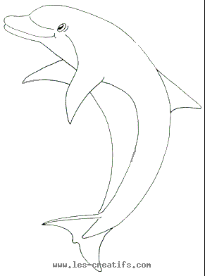 dessin dauphin et sirene