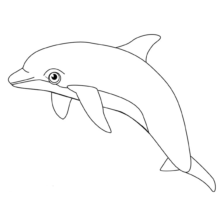 coloriage à dessiner sur les dauphins