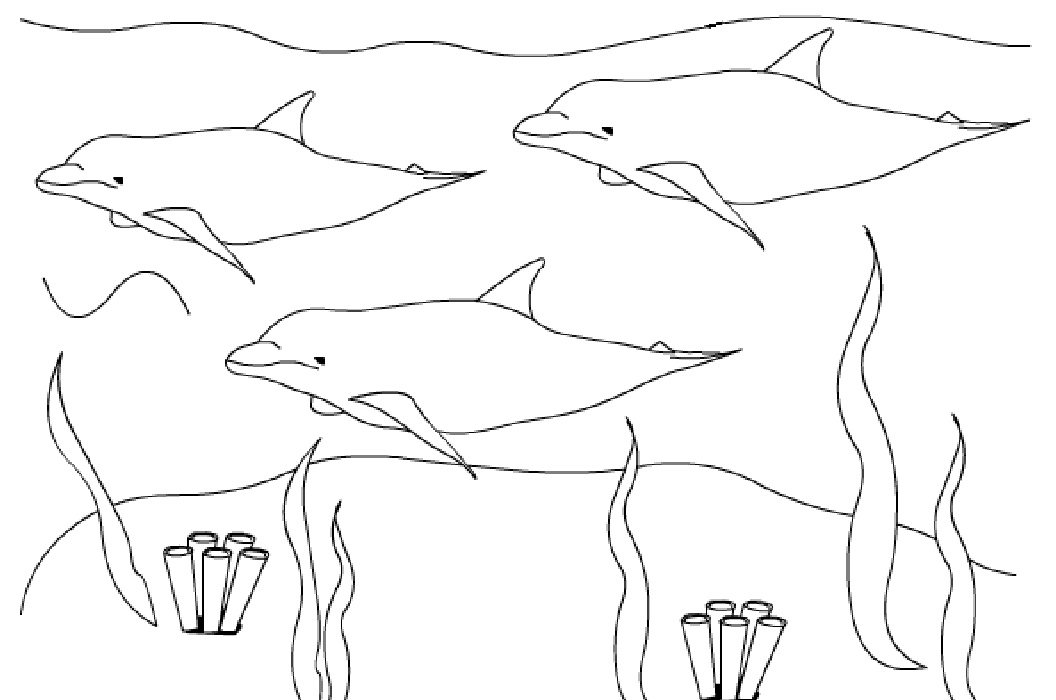 coloriage de dauphin en ligne gratuit