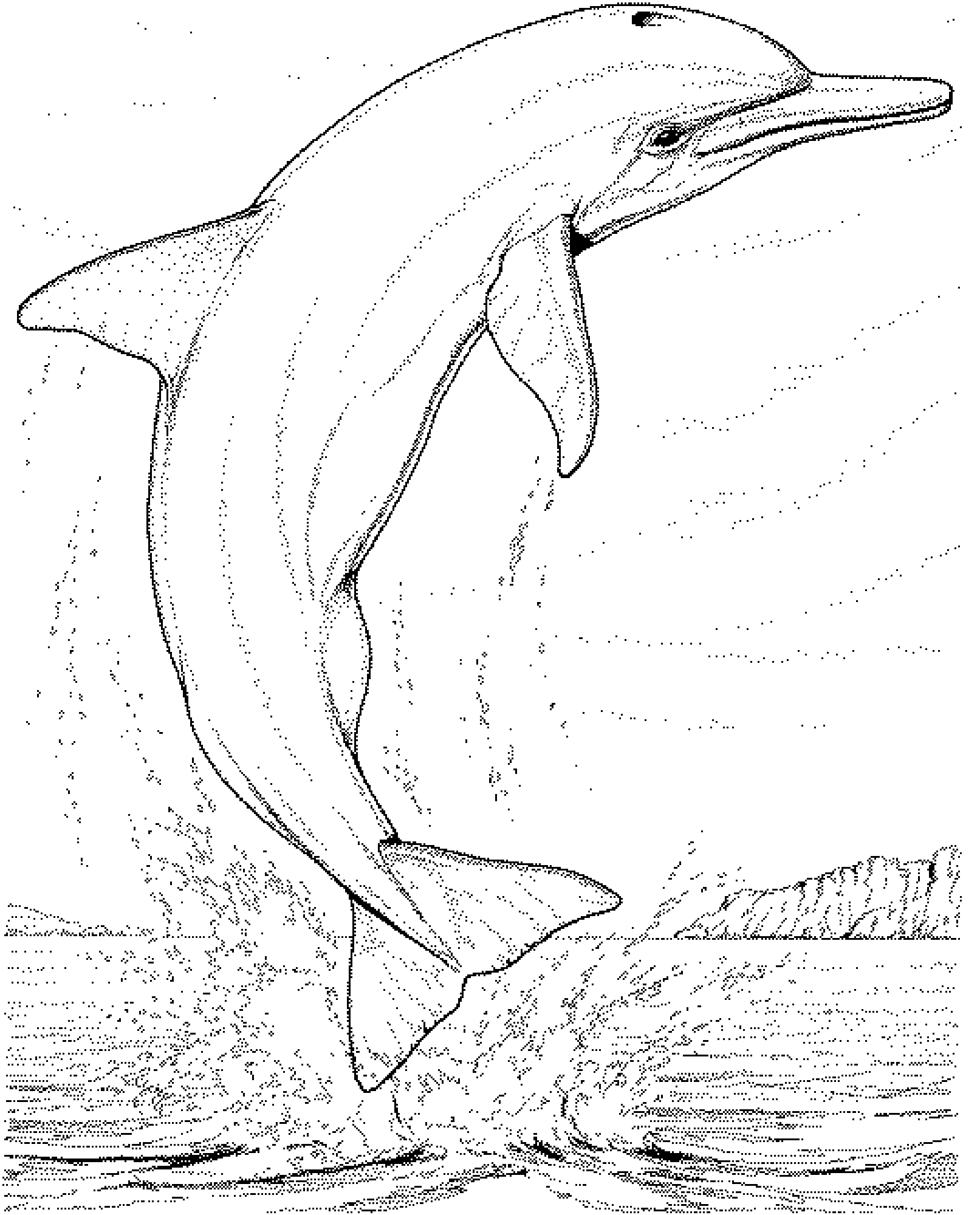 coloriage à dessiner magique de dauphin à imprimer
