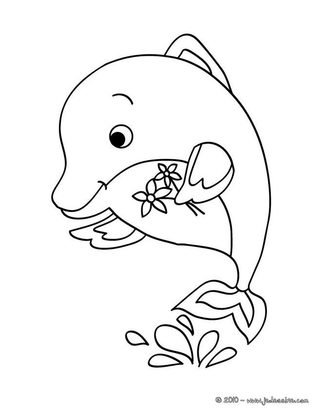 dessin dauphin mandala