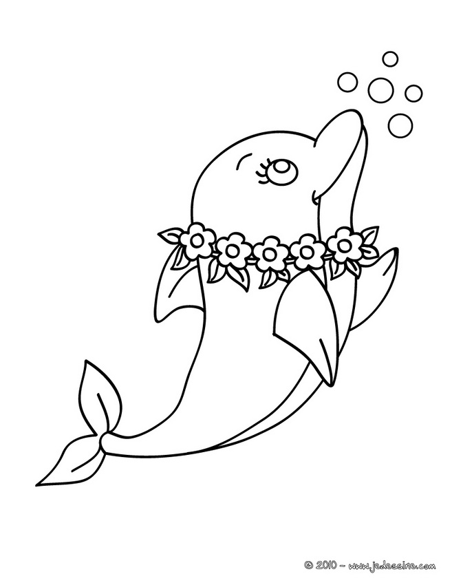 coloriage bebe dauphin a imprimer