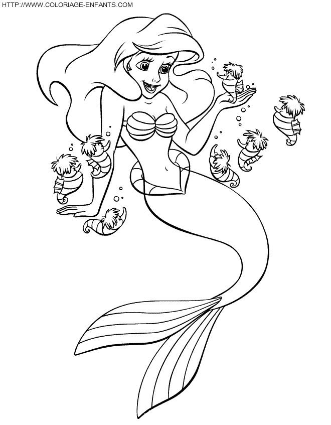 Coloriage La Petite Sirene à imprimer Kidzeo