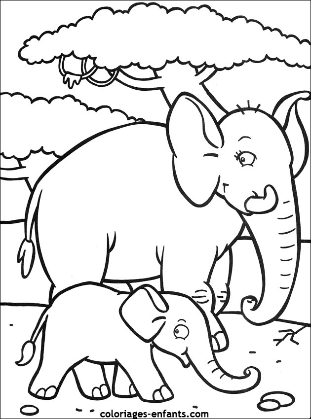 dessin coloriage elephant