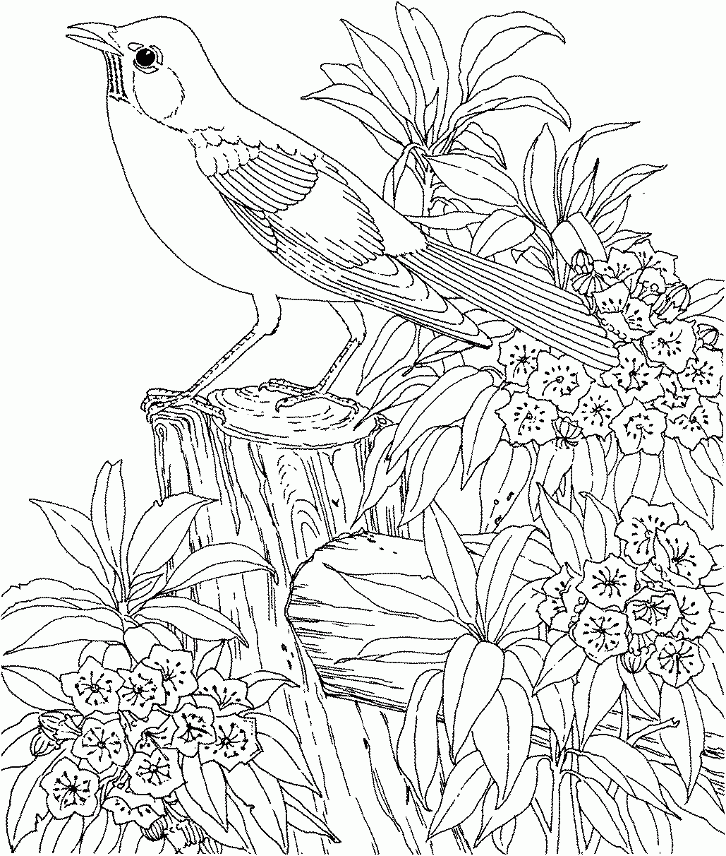 Frais Coloriage Difficile Pour Ado Animaux