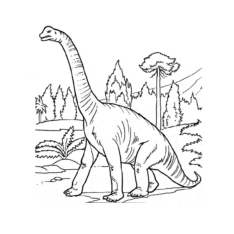 Combat De Dinosaure Dinosaure 6 Coloriages De Dinosaures