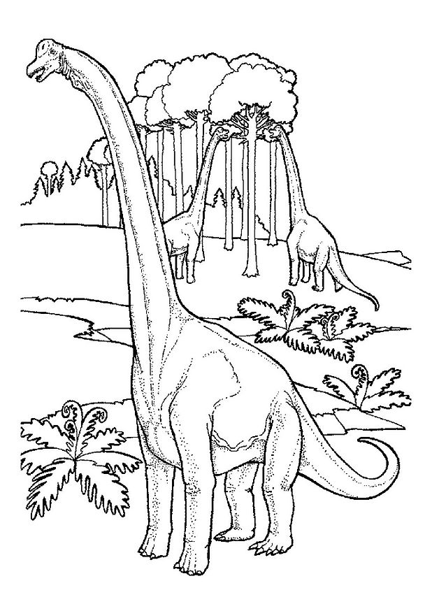 dessin de dinosaure marin