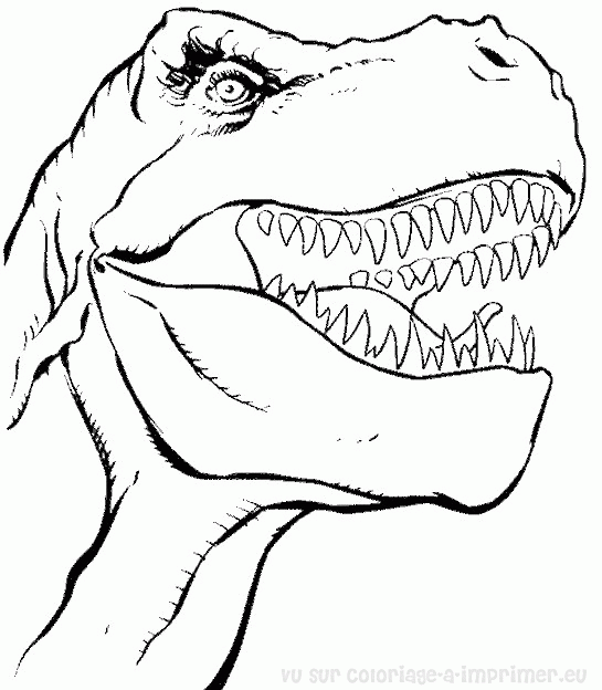 dessin dinosaure telecharger