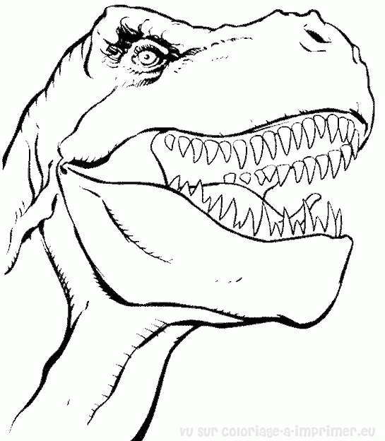 coloriage dinosaure jurassic park gratuit