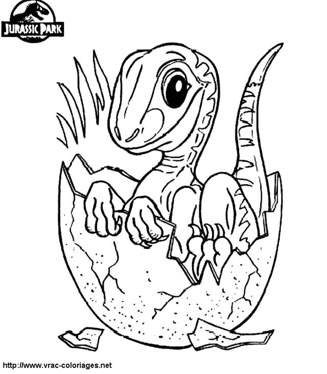 coloriage dinosaure t rex