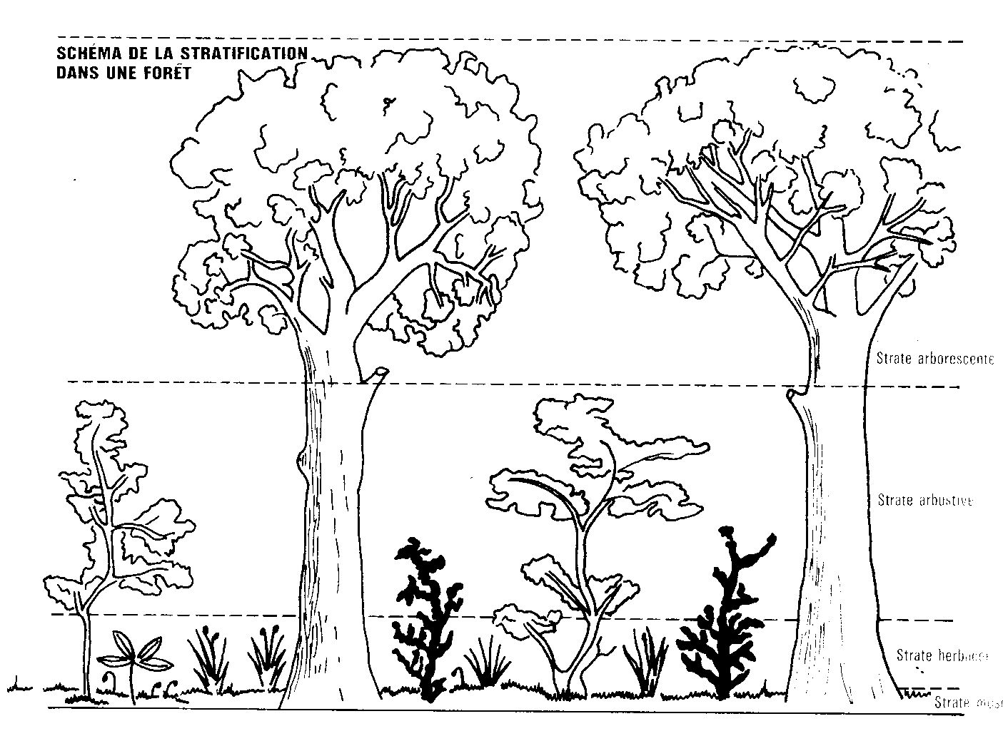 123 dessins de coloriage Doug à imprimer
