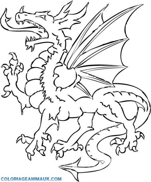 coloriage à dessiner chevalier dragon imprimer
