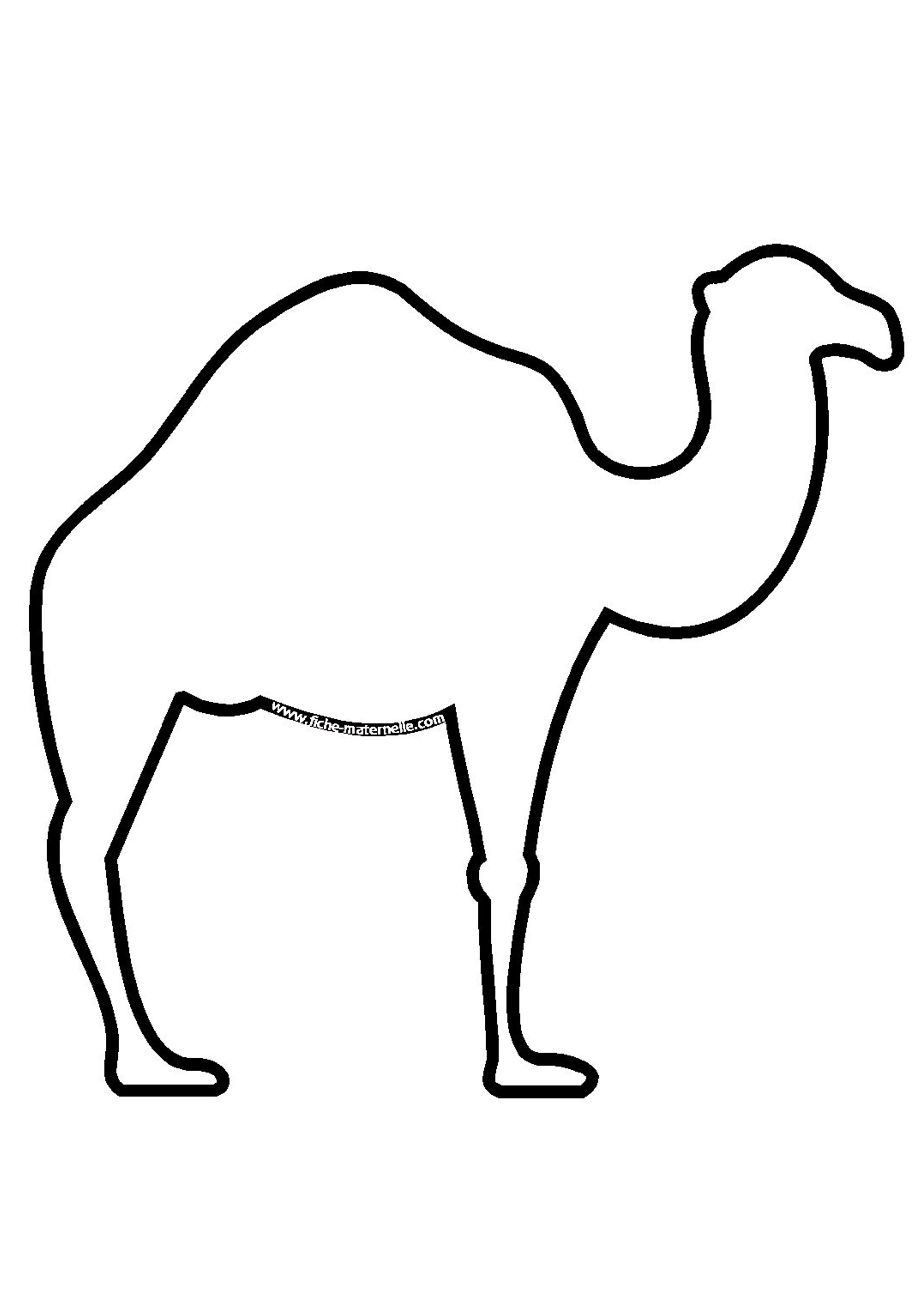 Dessin A Colorier Dromadaire A Imprimer Dessin A Colorier Dromadaire A Imprimer