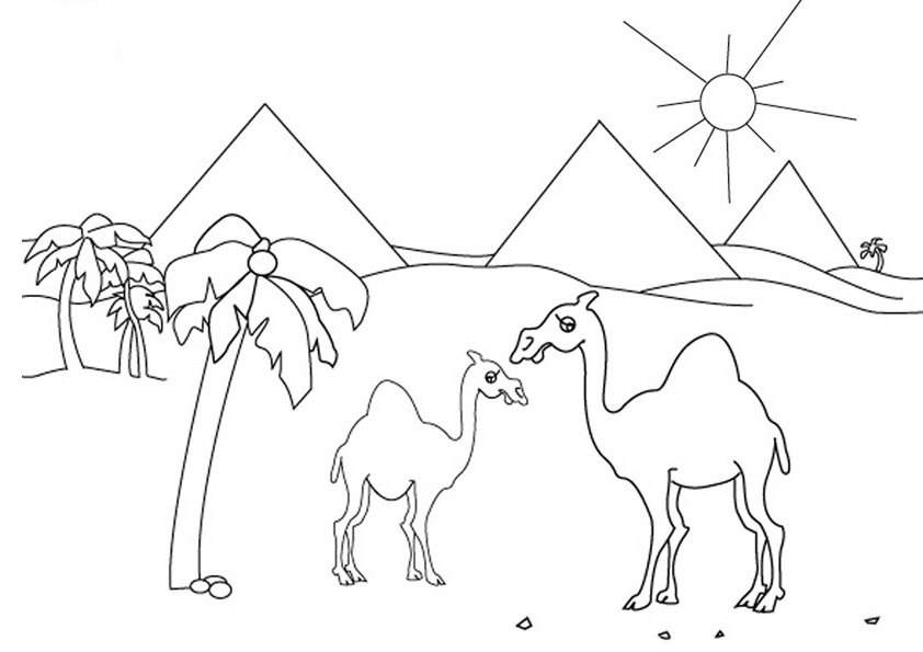Coloriage Dromadaire à colorier - Dessin à imprimer dessin de dromadaire a imprimer