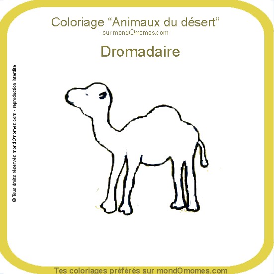 coloriage à dessiner dromadaire