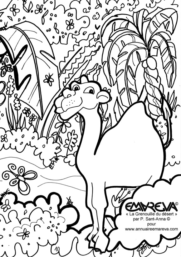 coloriage d'un dromadaire