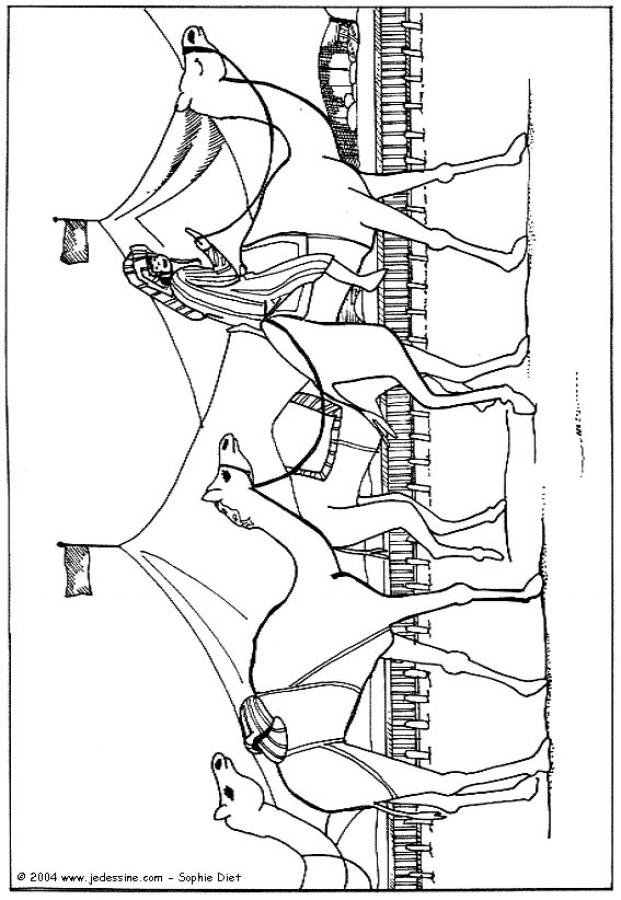 dessin  colorier  imprimer dromadaire