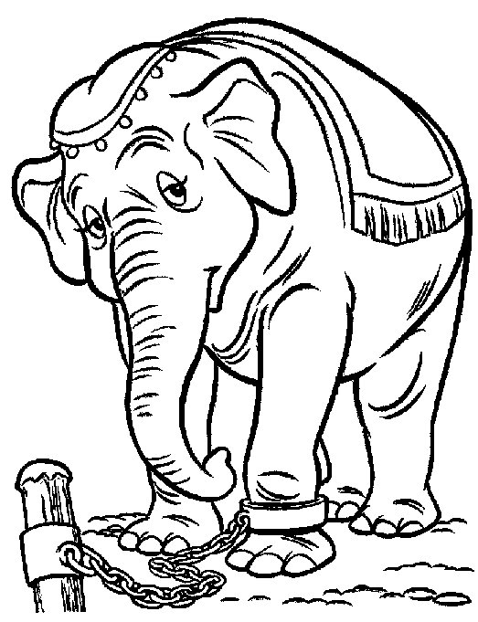 coloriage dumbo gratuit