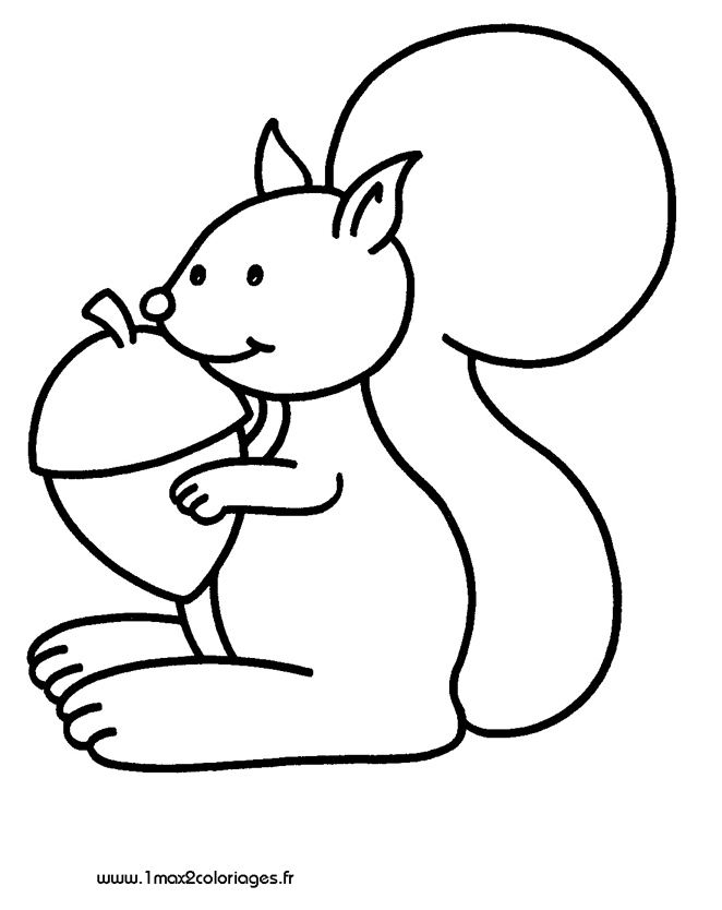 coloriage ecureuil maternelle