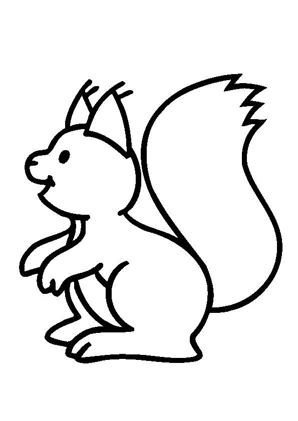 dessin ecureuils imprimer