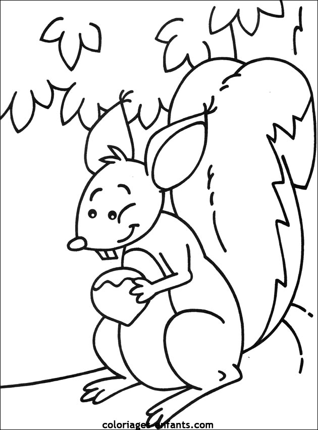 dessin à colorier écureuil gratuit