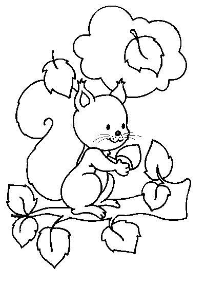 ecureuil en dessin