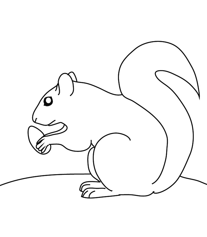 dessin � colorier ecureuil en ligne