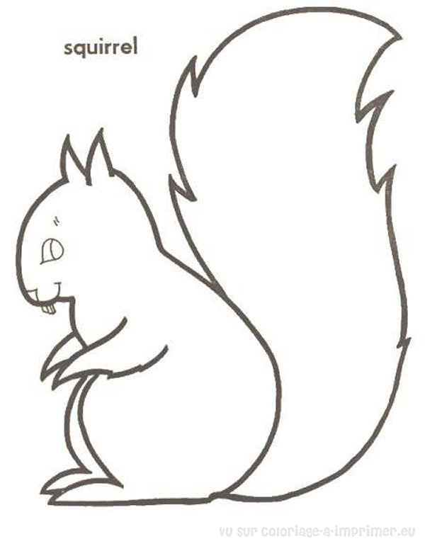 dessin � colorier ecureuils