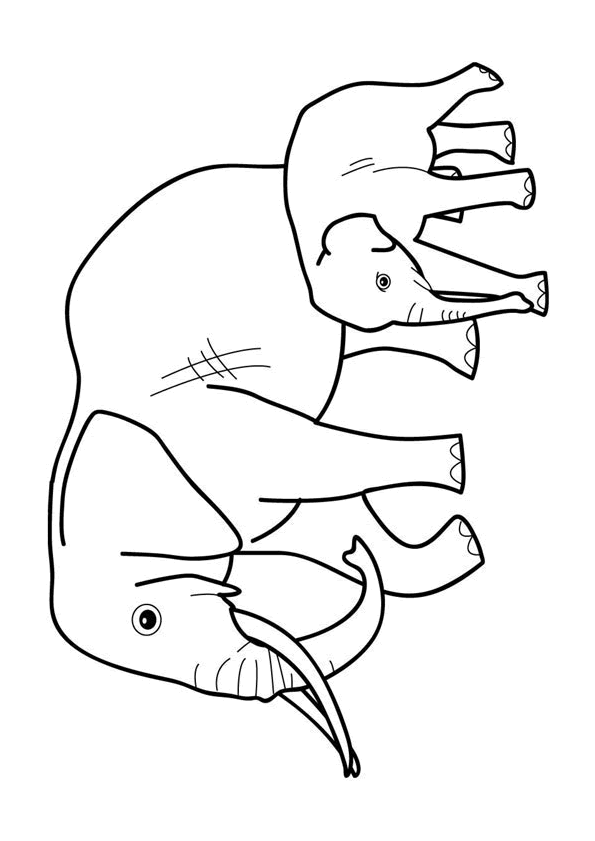 7 dessins de coloriage éléphant D'afrique à imprimer