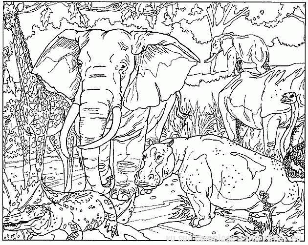 coloriage d elephant