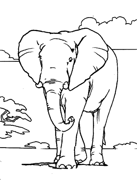dessin à colorier d'elmer l'elephant