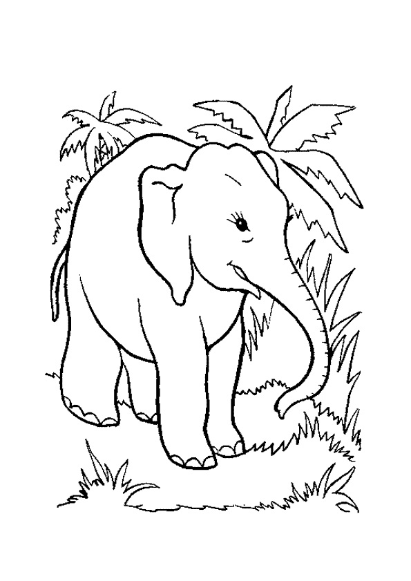 coloriage � dessiner elephant de cirque