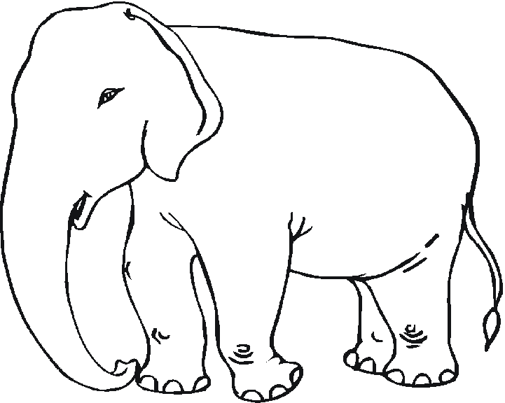 dessin à colorier elephant anti stress à imprimer