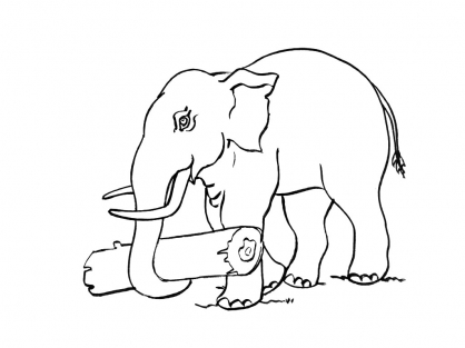 www.dessin à colorier elephant