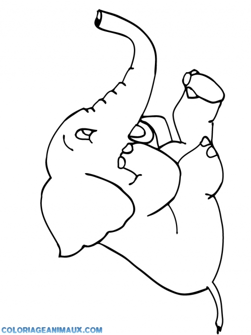 dessin à colorier elephant d'inde